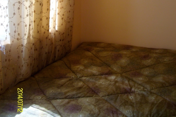 Mussa Spring Hotel (Petra)